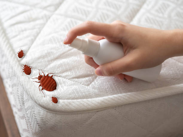 Pest Control Cost in Pegram, TN